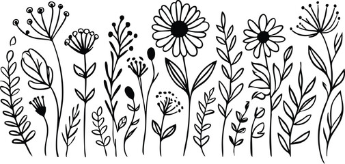 Botanical flower line drawing in black and white


