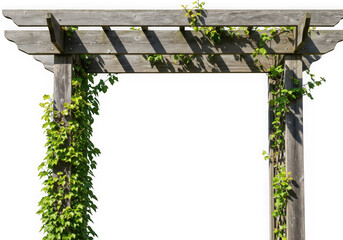 Wooden garden arch with ivy vines isolated on transparent background