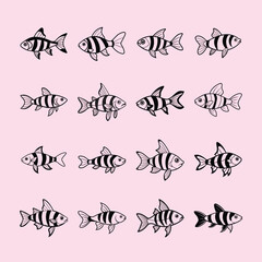 Harlequin Rasbora, aquarium fish line art illustration
