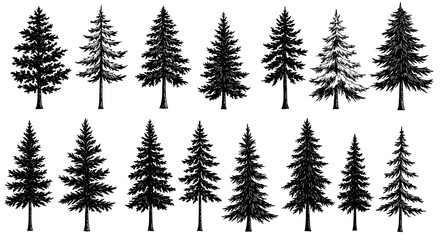 Obraz premium Ink & Evergreen: A Forest of Silhouettes
