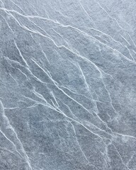 Fototapeta premium Light gray leathered soapstone surface with long white natural mineral veins in macro image