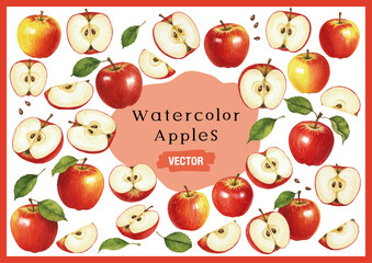Vector watercolor apple / 水彩テイストのりんごイラスト