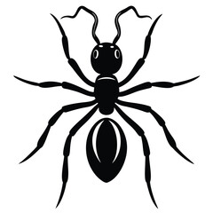 Isolated black arachnid illustration, a scary spider on a white background
