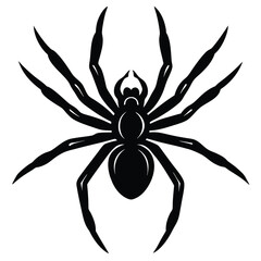 Dangerously designed black and yellow or black and white spider arachnid illustration on a contrasting background, ideal as a halloween symbol or tattoo design
