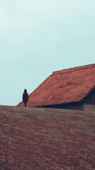 Shadowy silhouette atop crimson-tiled roof, contemplative solitude during Chilimjusht festival, serene repose under cloudy sepia sky