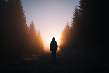 A solitary silhouette against dawn's golden haze, Nordic winter solstice wanderer in quiet contemplation, serene forest pathways