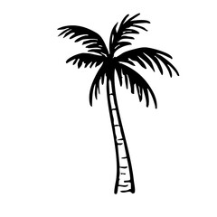 Obraz premium ヤシの木 線画 手書き