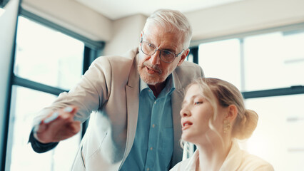 Business people, coach or assistance on computer at office for internship program or training...
