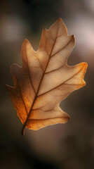 Detailed Golden Autumn Leaf