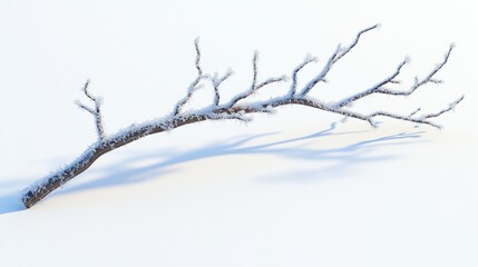 Frozen branch on snow