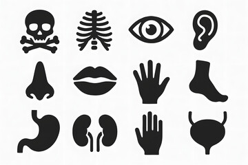 Anatomical Icons: A collection of meticulously crafted black and white vector icons of various human body parts, representing the intricacies of human anatomy.