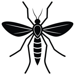 mosquito realistic wings white