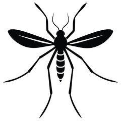 vector mosquito white background