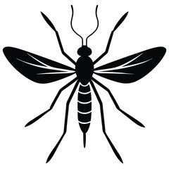 mosquito illustration white background