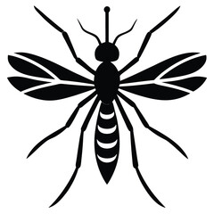 mosquito transparent white base