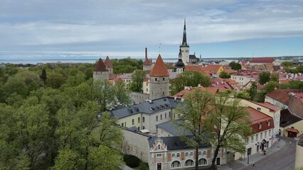 Obraz premium Panoramic view of Tallinn old town featuring Saint Olaf's Church and medieval defensive walls, showcasing the city's rich history and architectural heritage