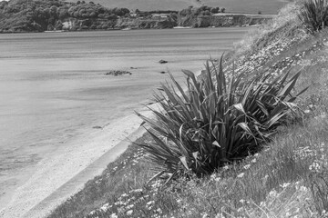 falmouth an der küste von Cornwall in England