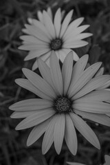 Falmouth in Cornwall