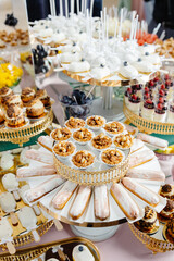 Catering service presenting delicious desserts on golden trays during a party