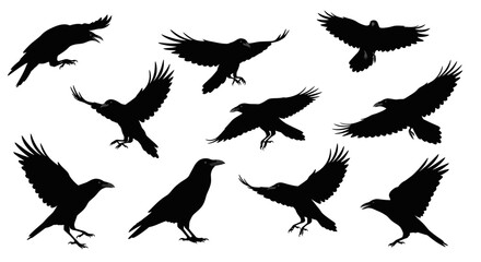 Silhouetted Ravens A Collection of Birds in Various Poses