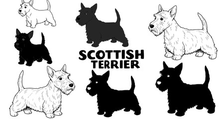 Cartoon Scottish Terrier Dogs in Black and White Illustrations