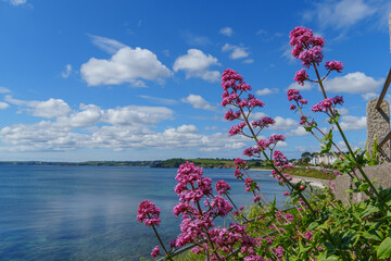 Falmouth in Cornwall