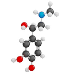Adrenaline molecule isolated on transparent background. Detailed 3D model of a human hormone. Molecular formula: C9H13NO3. Chemical model: Ball and Stick. 3d illustration © Orange Dragon Studio