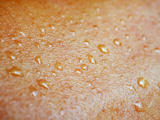 Skin, macro of water drops and texture or body of a person, armhair human and sweat with droplets