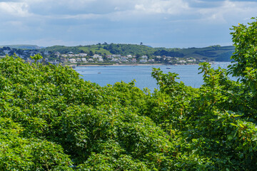 Frühling in Falmouth in  Cornwall