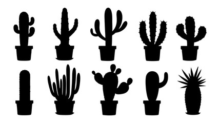 Cactus in pots silhouette