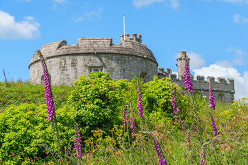 Frühling in Falmouth in  Cornwall