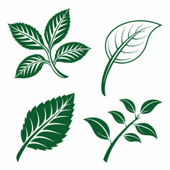 vector set of green leaves
