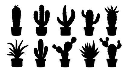 Fototapeta premium Cactus in pots silhouette