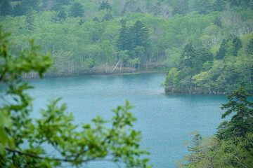 初夏のオコタンペ湖 / Okotanpe Lake in early summer