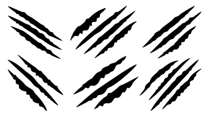 Obraz premium set of black claws scratches animals silhouette