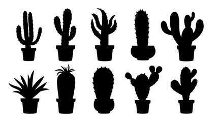Cactus in pots silhouette