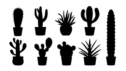 Fototapeta premium Cactus in pots silhouette
