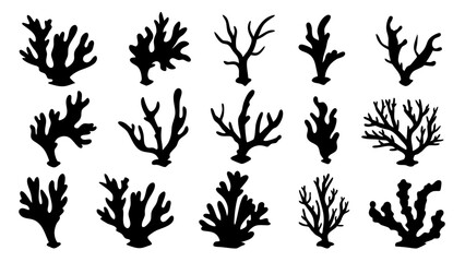 Seaweed silhouettes, coral black icon. Abstract organic shape, underwater plant, matisse element, cute sea doodle.