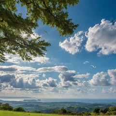 Obraz premium green field and blue sky
