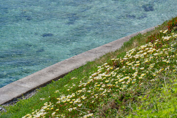 Falmouth und die Landschaft von Cornwall in England