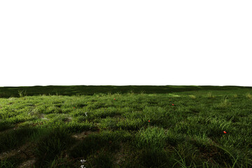 Lush green grass field at night, dimly lit, with scattered small red flowers and patches of bare...