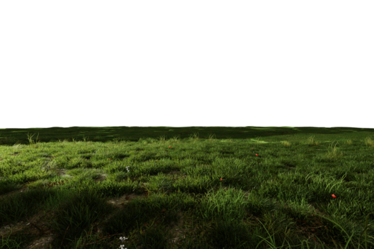 Lush green grass field at night, dimly lit, with scattered small red flowers and patches of bare earth