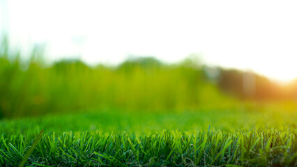 Green grass top view background of garden bright grass concept used for making green backdrop, lawn for sports field.