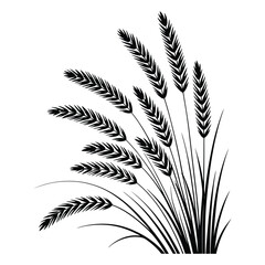 Teff Grass Silhouette, Vector, Illustration, Icon, Logo, White Background.