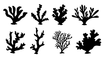 Seaweed silhouettes, coral black icon. Abstract organic shape, underwater plant, matisse element, cute sea doodle.