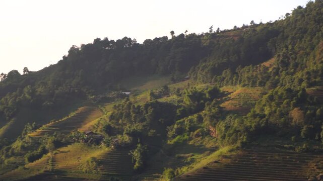 Lush green hills with terraced fields bask under the gentle evening sunlight, surrounded by a scattering of trees and forest plots, portraying the peaceful rural landscape of North Vietnam.