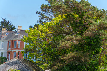 Falmouth und die Grafschaft Cornwall