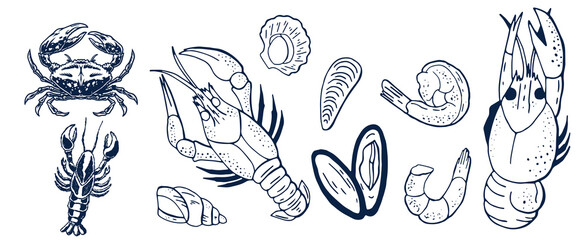 Incredible Hand Drawn Seafood Vectors