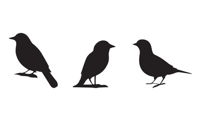 Bird set silhouette vector.