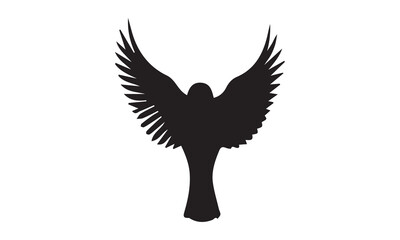 Fototapeta premium eagle with wings